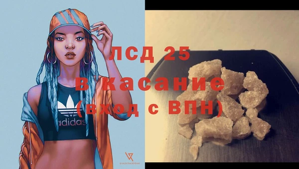 шишки Алексин