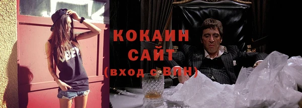 шишки Алексин