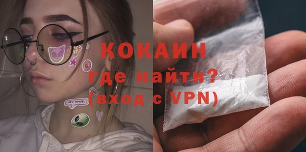 шишки Алексин
